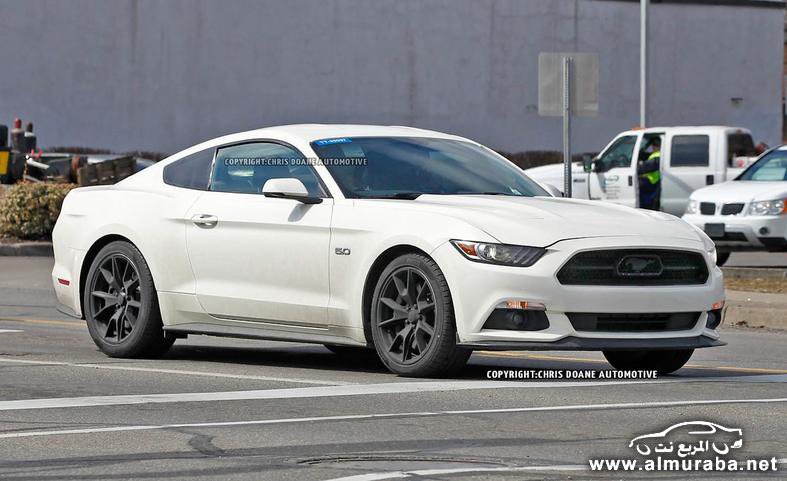 2015-ford-mustang-50th-anniversary-edition-spy-photo-photo-582731-s-787x481