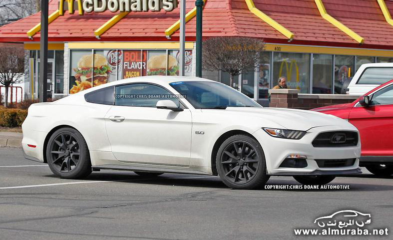 2015-ford-mustang-50th-anniversary-edition-spy-photo-photo-582732-s-787x481