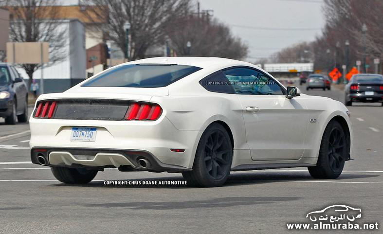 2015-ford-mustang-50th-anniversary-edition-spy-photo-photo-582737-s-787x481