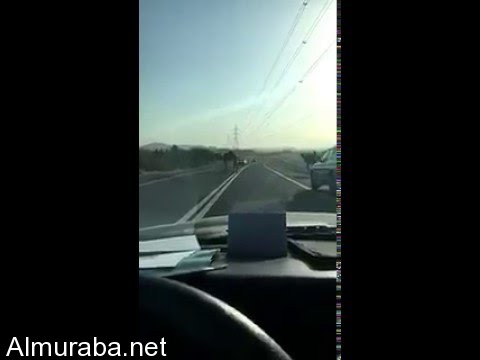 "فيديو" شاهد حادث تصادم بين سيارتين بسبب جمل سائب 1