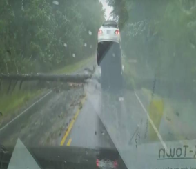 “فيديو” شاهد لحظة اصطدام سيارة امرأة بشجرة سقطت أمامها
