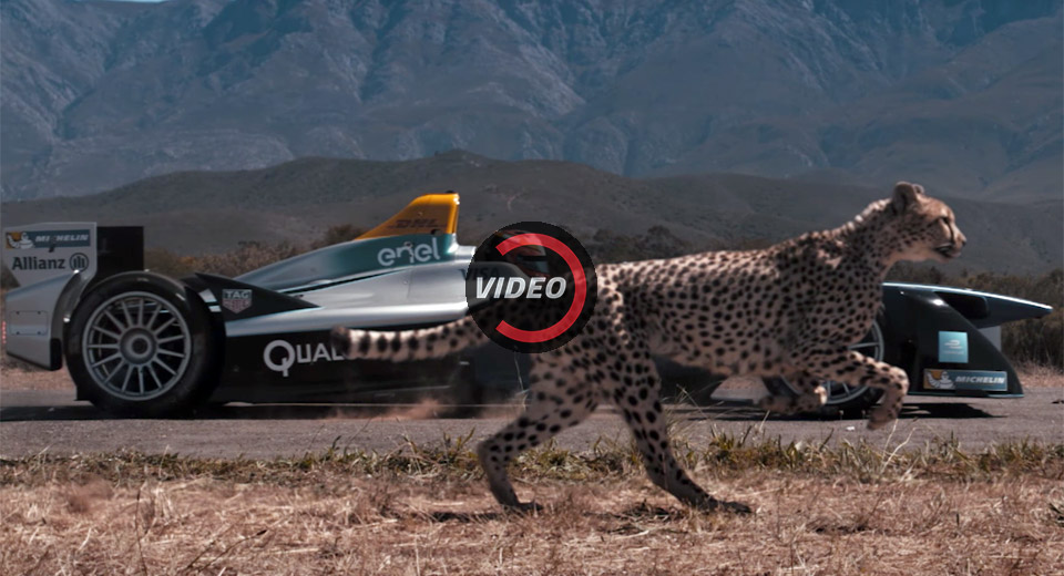 “بالفيديو” من الأسرع: سيارة السباق أم الفهد؟!