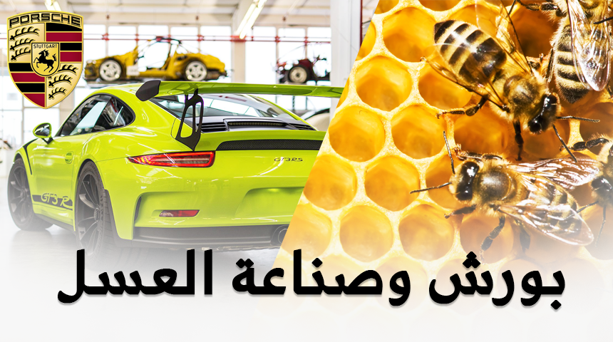 "تقرير" شركة بورش وصناعة العسل الألماني بتربية 1.5 مليون نحلة 2