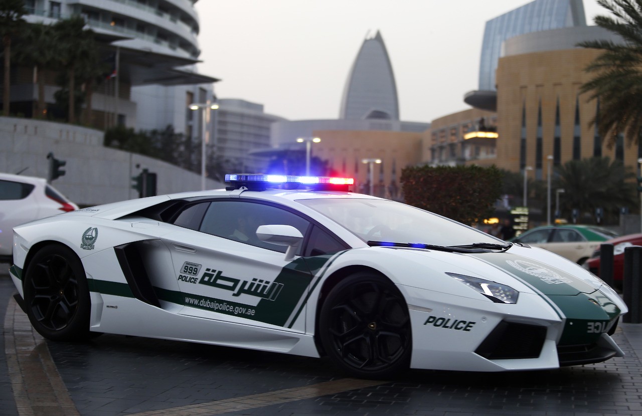 "تقرير" ما الغرض الحقيقي لأسطول شرطة دبي من السوبركارز؟ 17