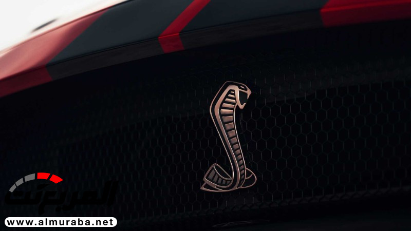 "152 صورة" فورد تكشف عن شيلبي موستنج GT500 2020 الجديدة كلياً 432