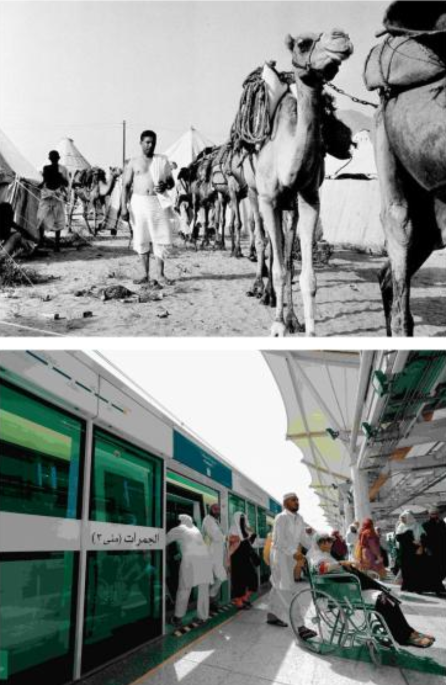 “تقرير مصور” تاريخ تطور وسائل النقل في الحج