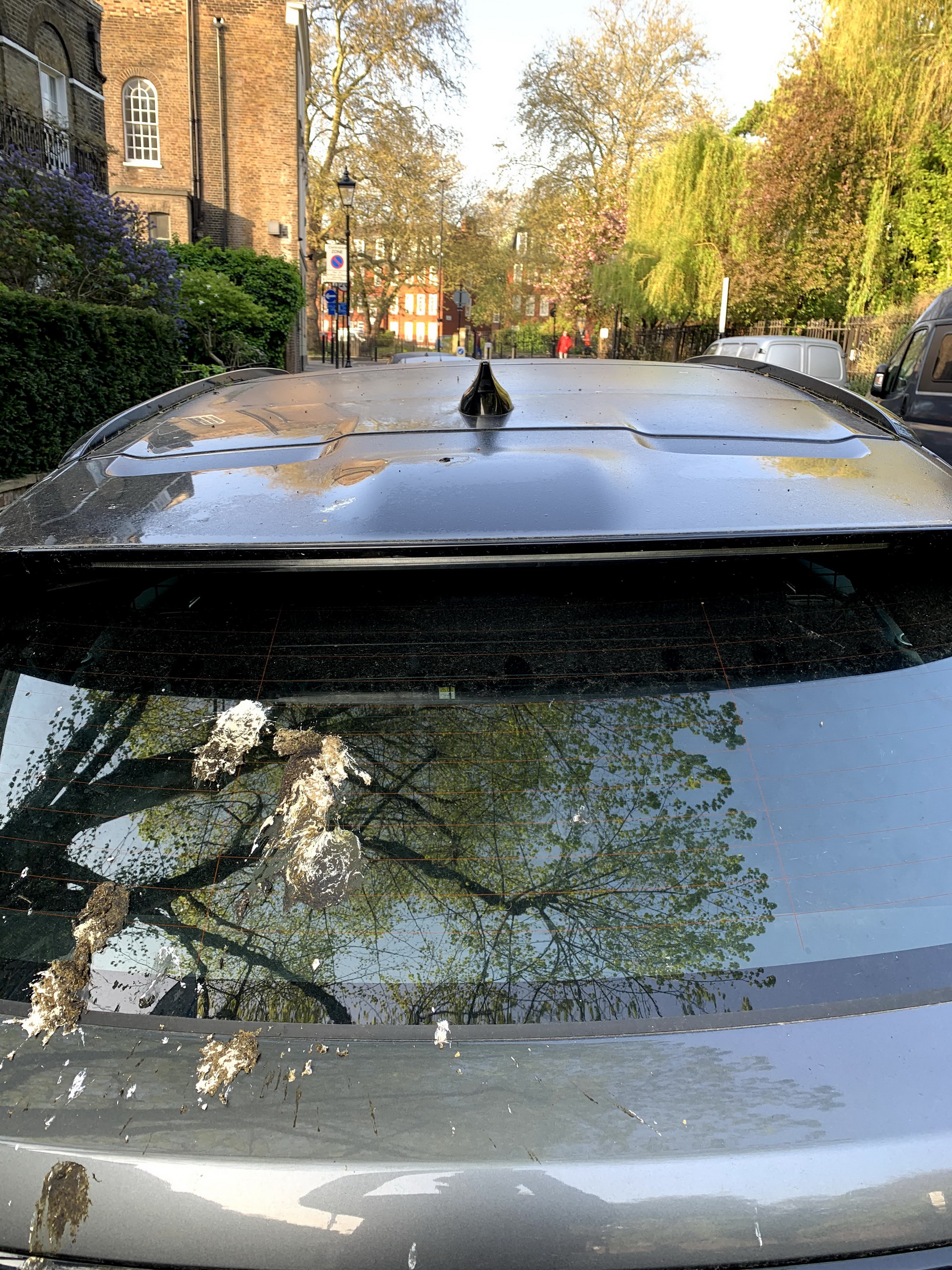 فورد تضع فضلات الطيور على السيارات لأغراض علمية.. ما هي؟ 2