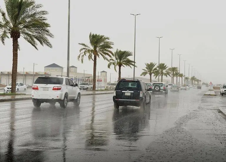 "المرور" يوجه 4 نصائح للقيادة الآمنة أثناء الأمطار لتجنب الحوادث 11