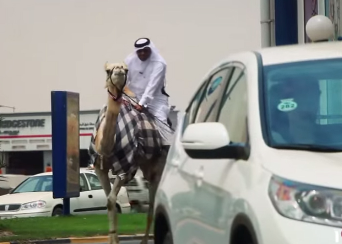 “فيديو” قطري يطلب وجبة سريعة من خدمة السيارات على ظهر جمل!